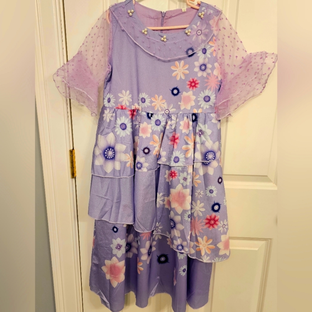 Isabella from Disney movie Encanto costume size: 10 (140)